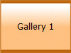 Gallery 1